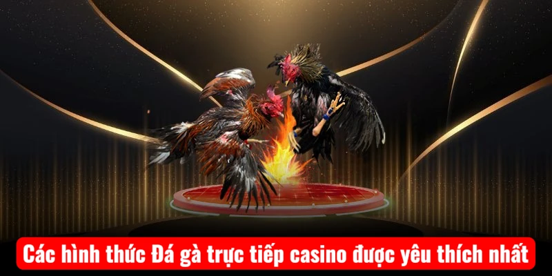 Các hình thức Đá gà trực tiếp casino được yêu thích nhất